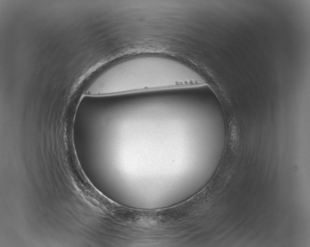 X0000078280684200611031017