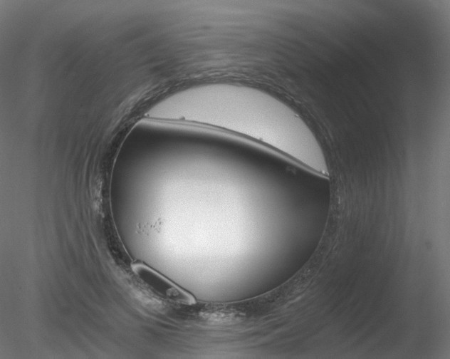 X0000078280693200611031017