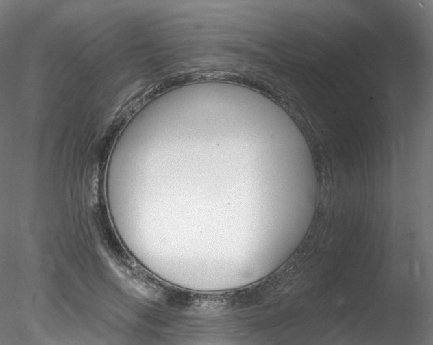 X0000078280694200611031017