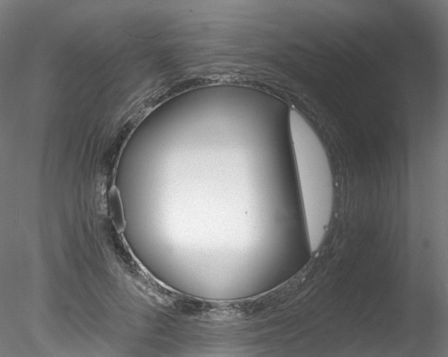 X0000078280696200611031017