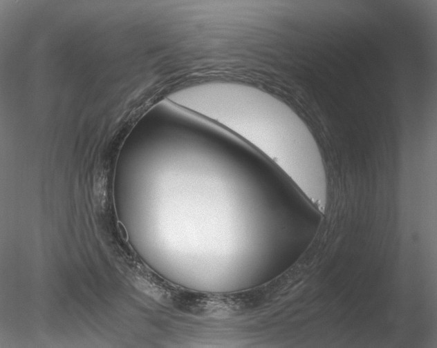 X0000078280697200611031017