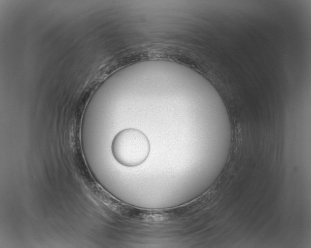 X0000078280698200611031017