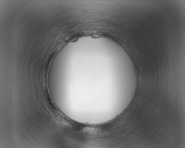 X0000078280699200611031017