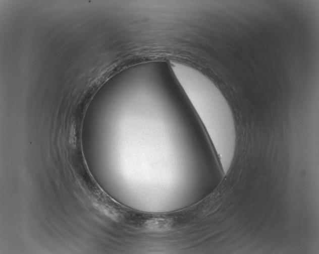 X0000078280700200611031017