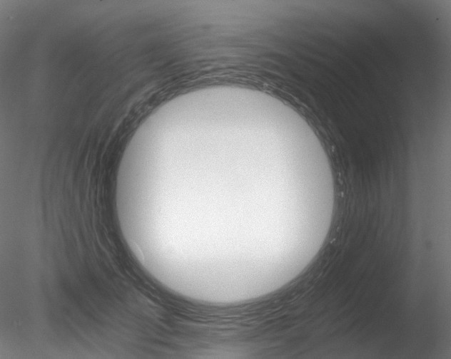 X0000078280701200611031017