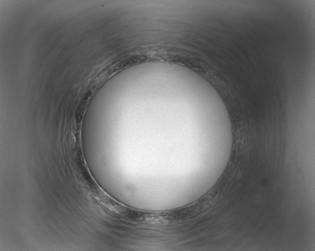 X0000078280702200611031017