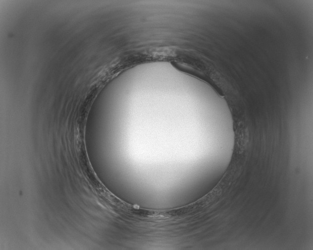 X0000078280704200611031017