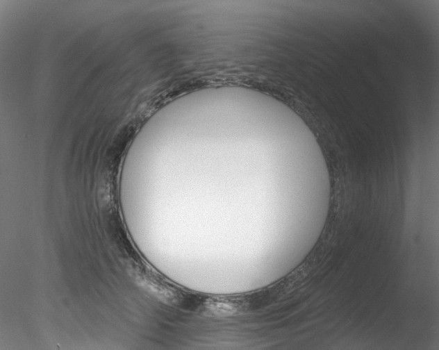 X0000078280706200611031017