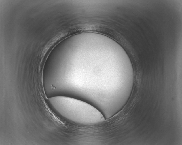 X0000078280721200611031015