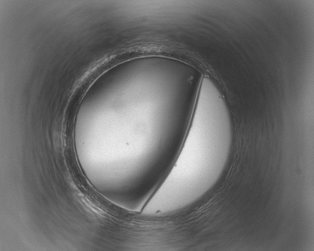X0000078280722200611031015
