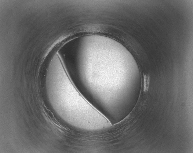 X0000078280723200611031016