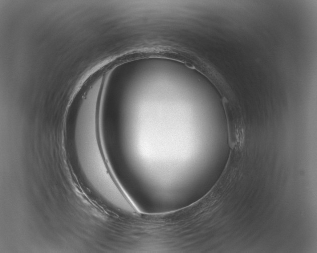 X0000078280724200611031016