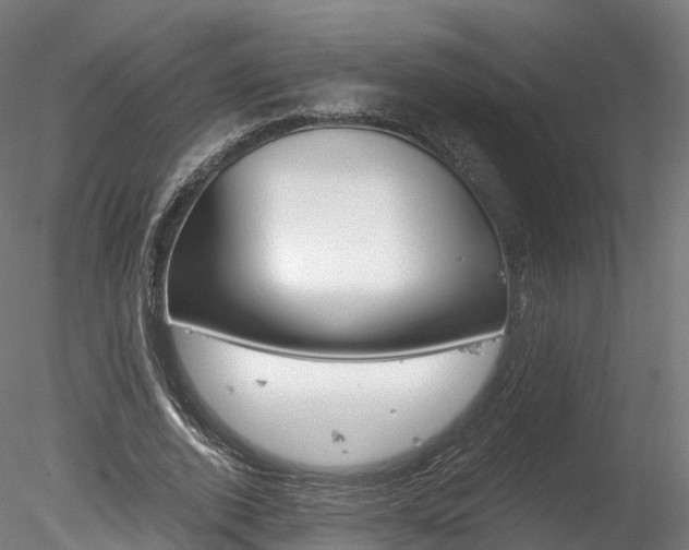 X0000078280728200611031016