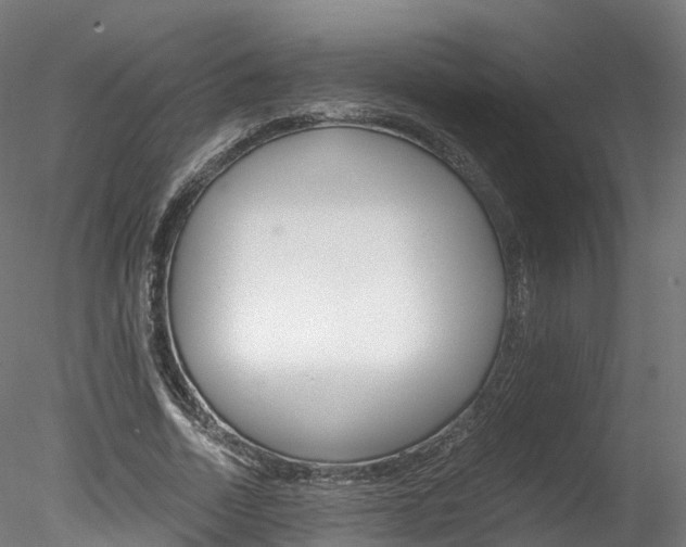 X0000078280730200611031016