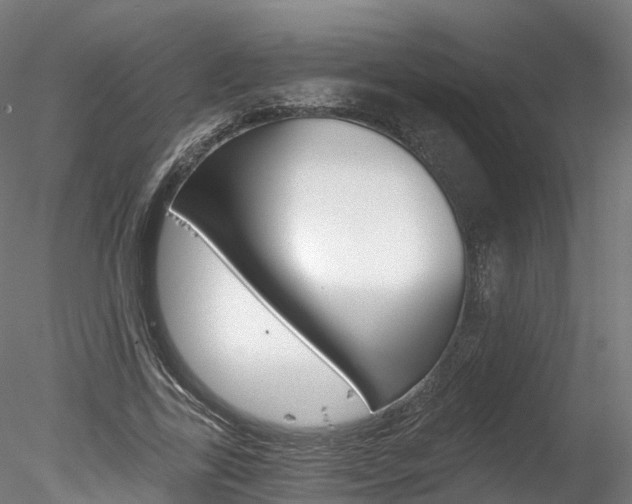 X0000078280731200611031016