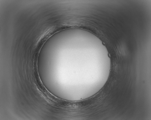 X0000078280735200611031016