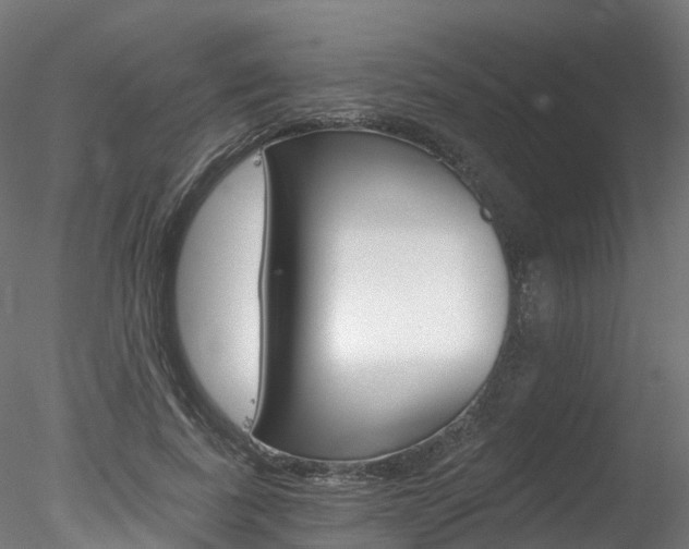 X0000078280739200611031016