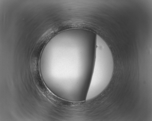 X0000078280744200611031016
