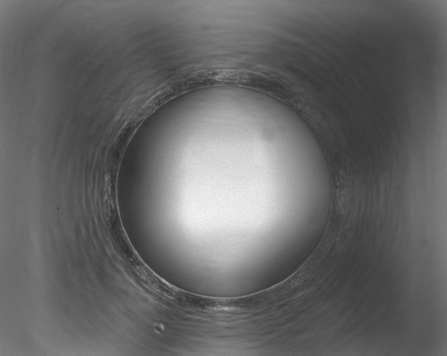 X0000078280748200611031016