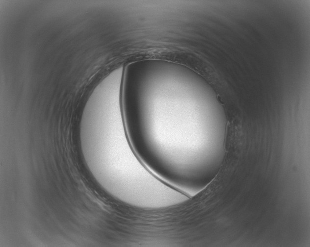 X0000078280750200611031016