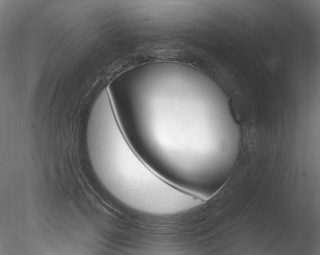 X0000078280752200611031016