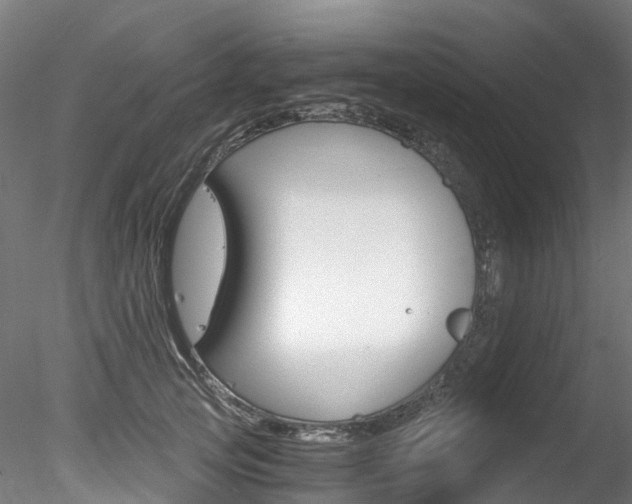 X0000078280753200611031016