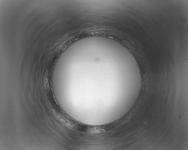 X0000078280754200611031016