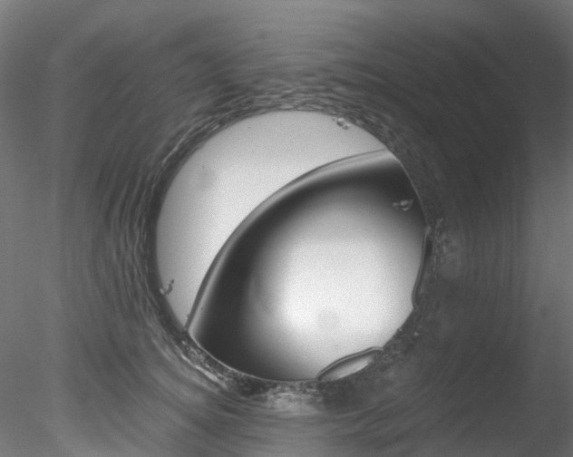 X0000078280756200611031016