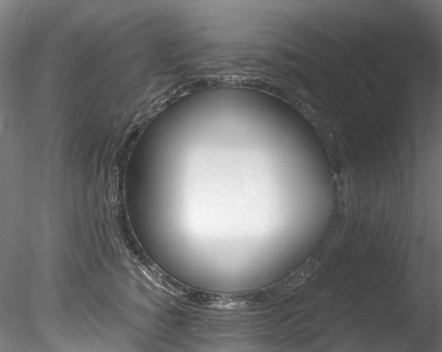 X0000078280760200611031016
