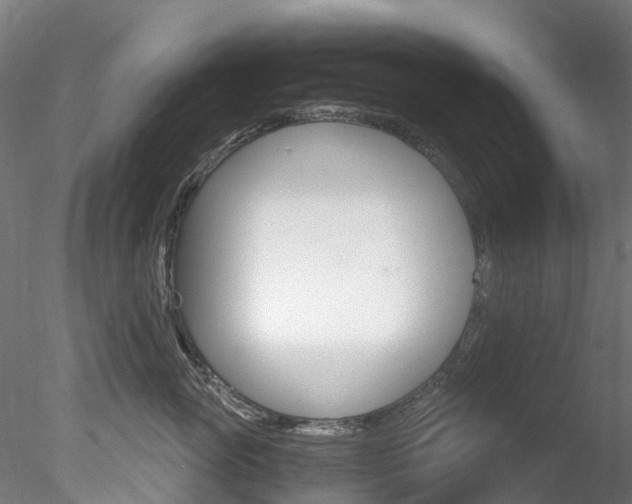 X0000078280765200611031016