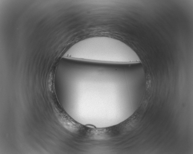 X0000078280767200611031016