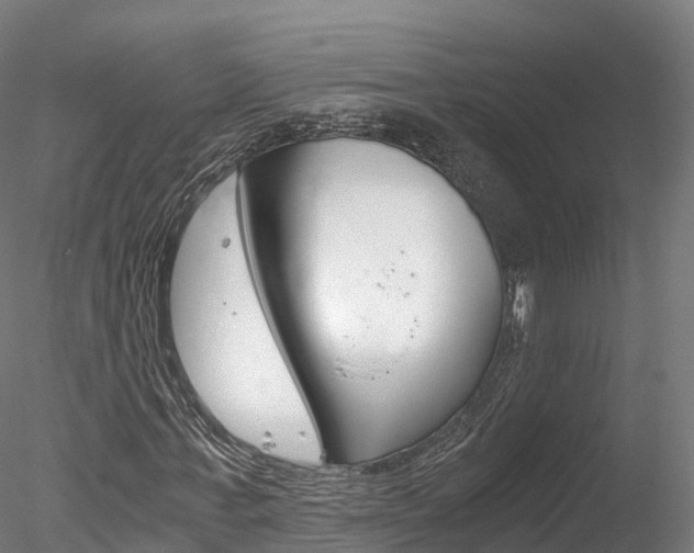 X0000078280771200611031015