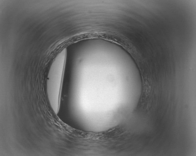 X0000078280773200611031015