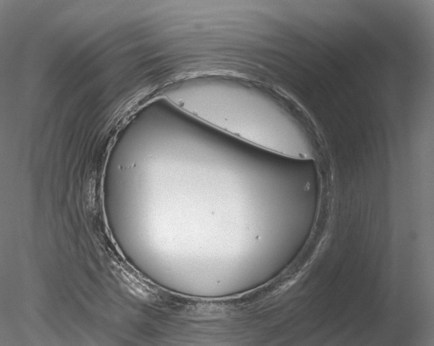 X0000078280777200611031015