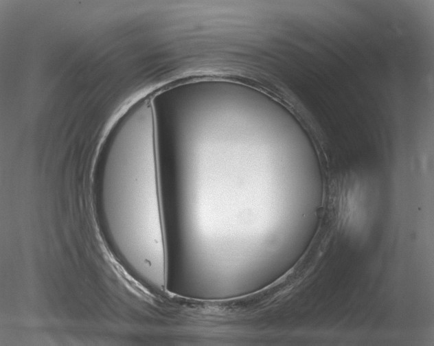 X0000078280787200611031015