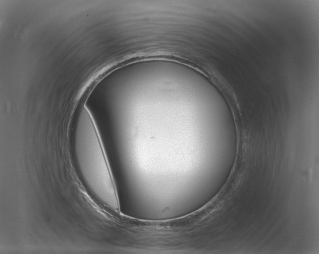 X0000078280789200611031015