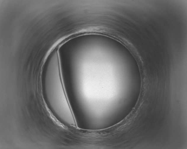 X0000078280792200611031015