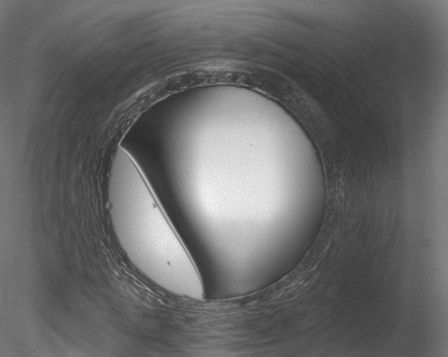 X0000078280821200611031014