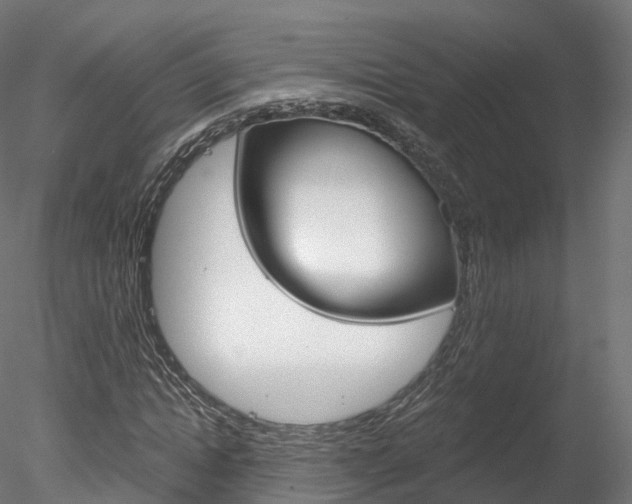 X0000078280822200611031014