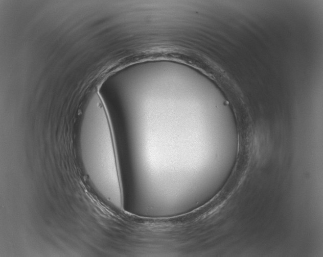 X0000078280825200611031014