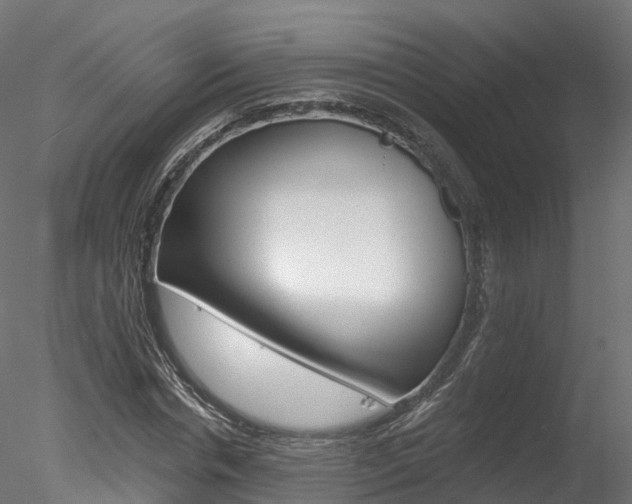 X0000078280826200611031014