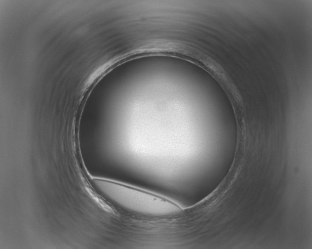 X0000078280842200611031014