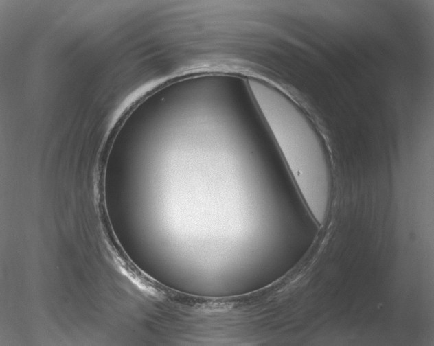 X0000078280846200611031014