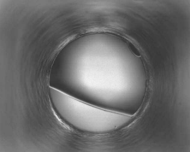 X0000078280849200611031014