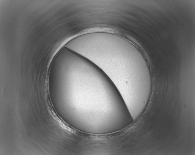 X0000078280852200611031014
