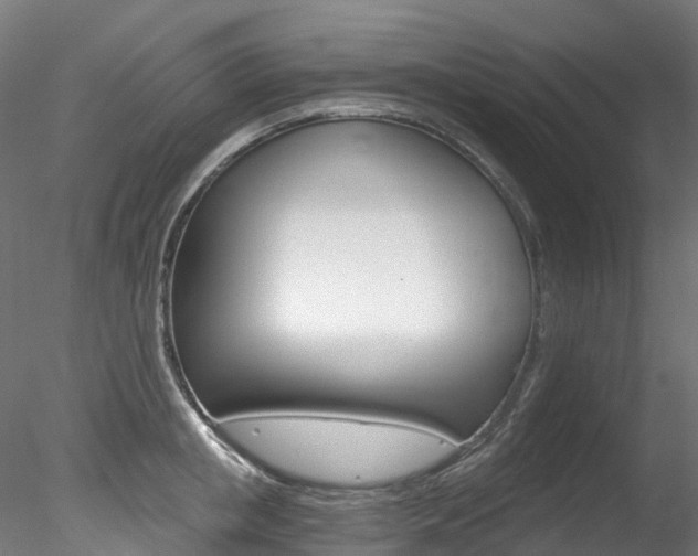 X0000078280853200611031014