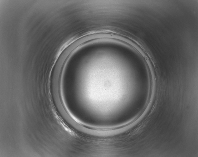 X0000078280858200611031015
