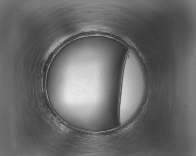 X0000078280877200611031014