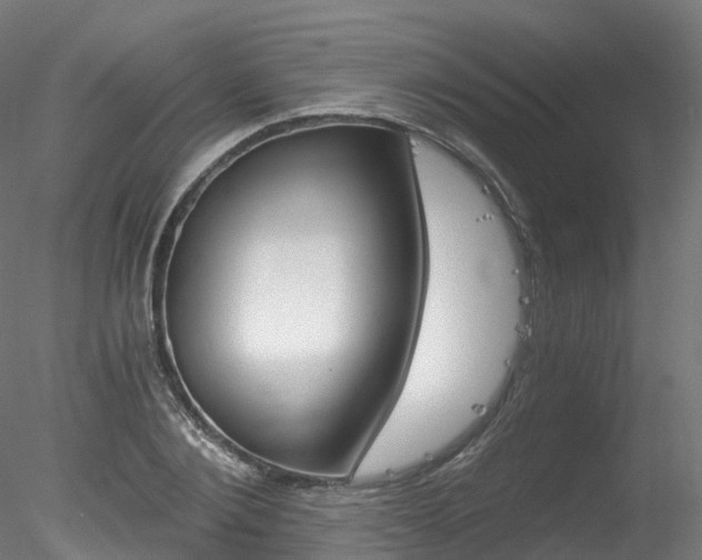 X0000078280884200611031014