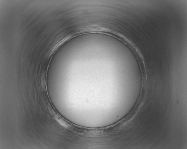 X0000078280889200611031013